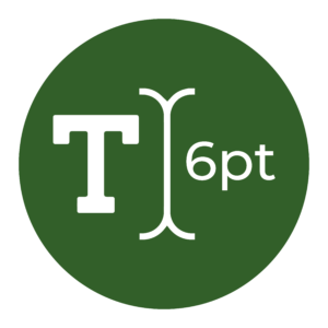 iconos-2-01-300x300